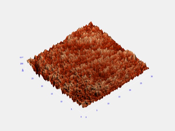post-etched meteorite, 30um 3D AFM