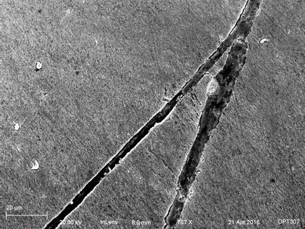 post-etched meteorite, crack SEM