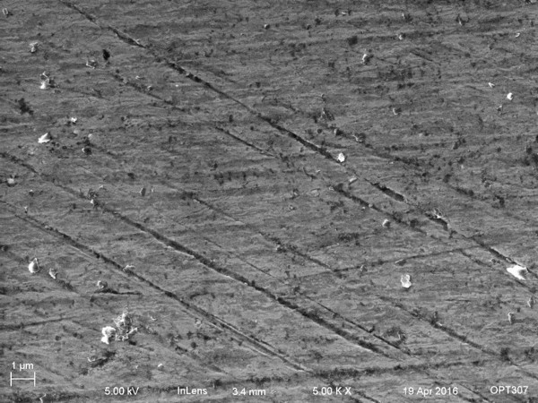 pre-etched meteorite, 1kX SEM pic