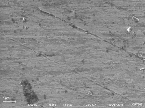 pre-etched meteorite, 10kX SEM pic