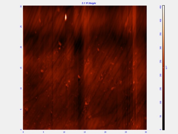 pre-etched meteorite, 30um 2D AFM