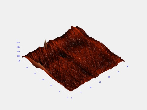 pre-etched meteorite, 30um 3D AFM