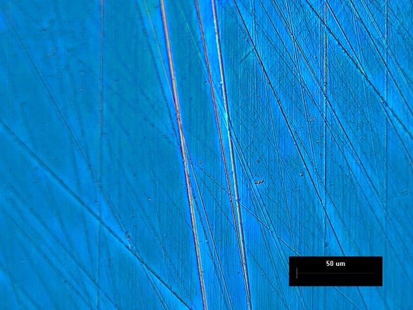 pre-etched meteorite, light microscope