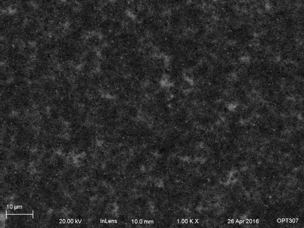 zip disk, 1kX SEM pic