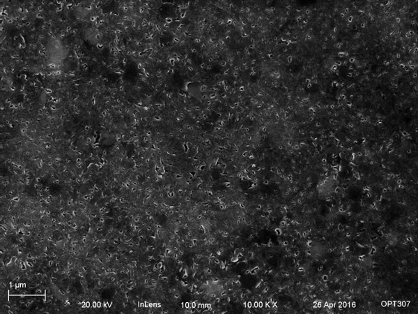 zip disk, 10kX SEM pic