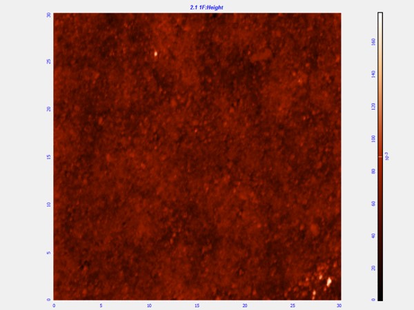 zip disk, 30um 2D AFM