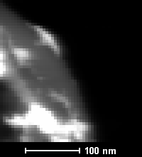 Raw STEM Image