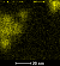 Fe(L)