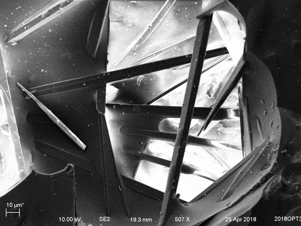 SE2 image