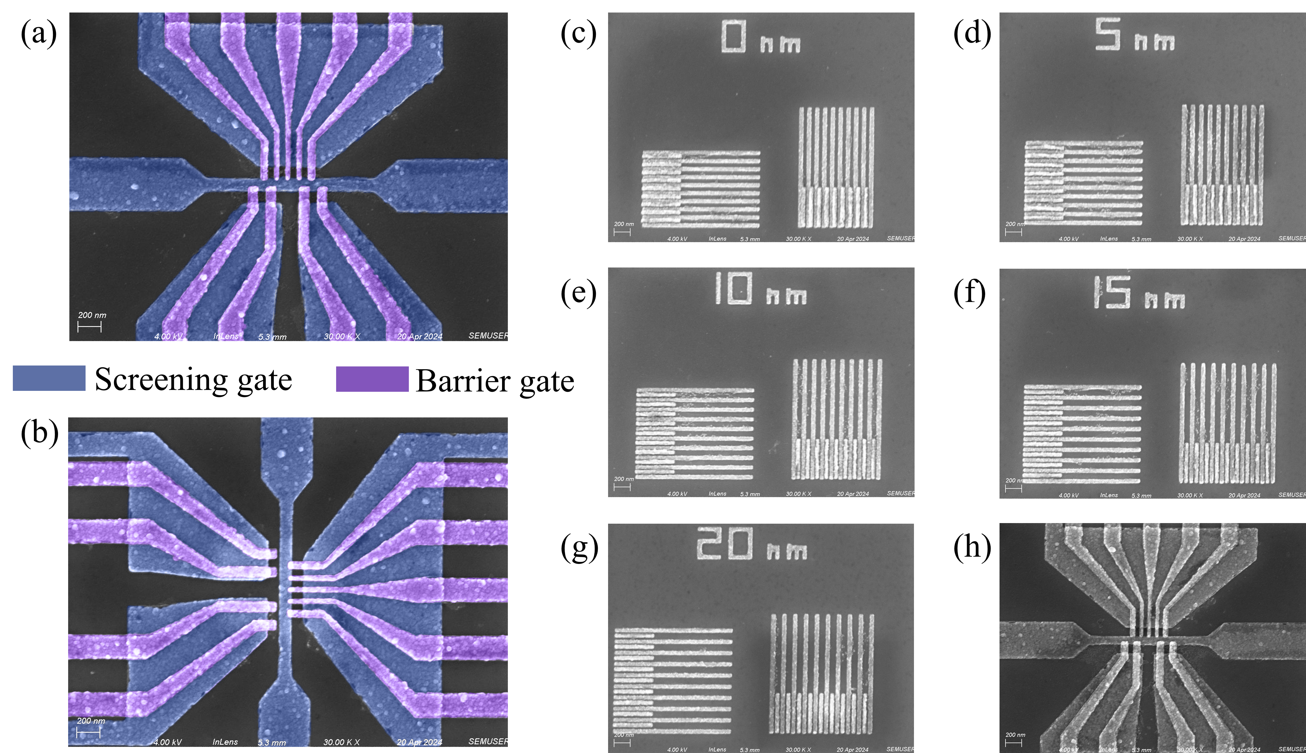 SEM Image