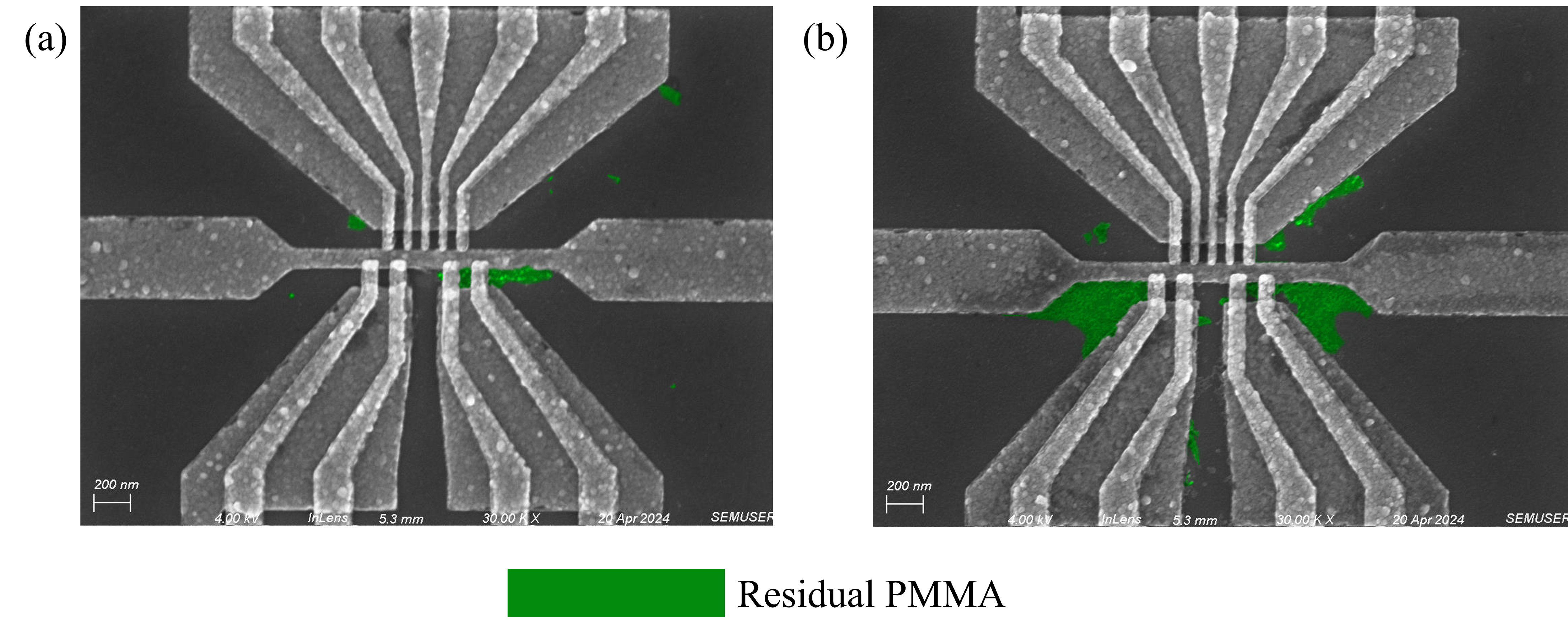 SEM Image