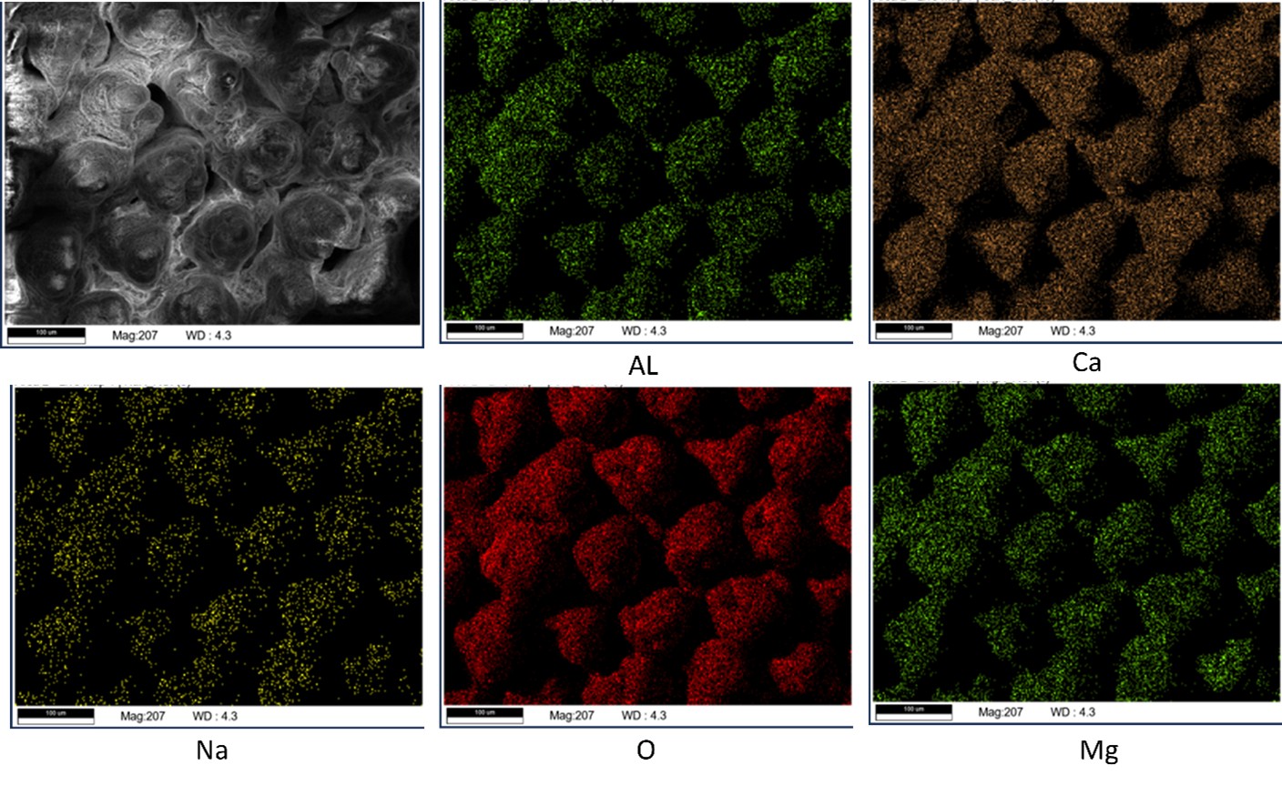 EDS Image of the salt after boiling test