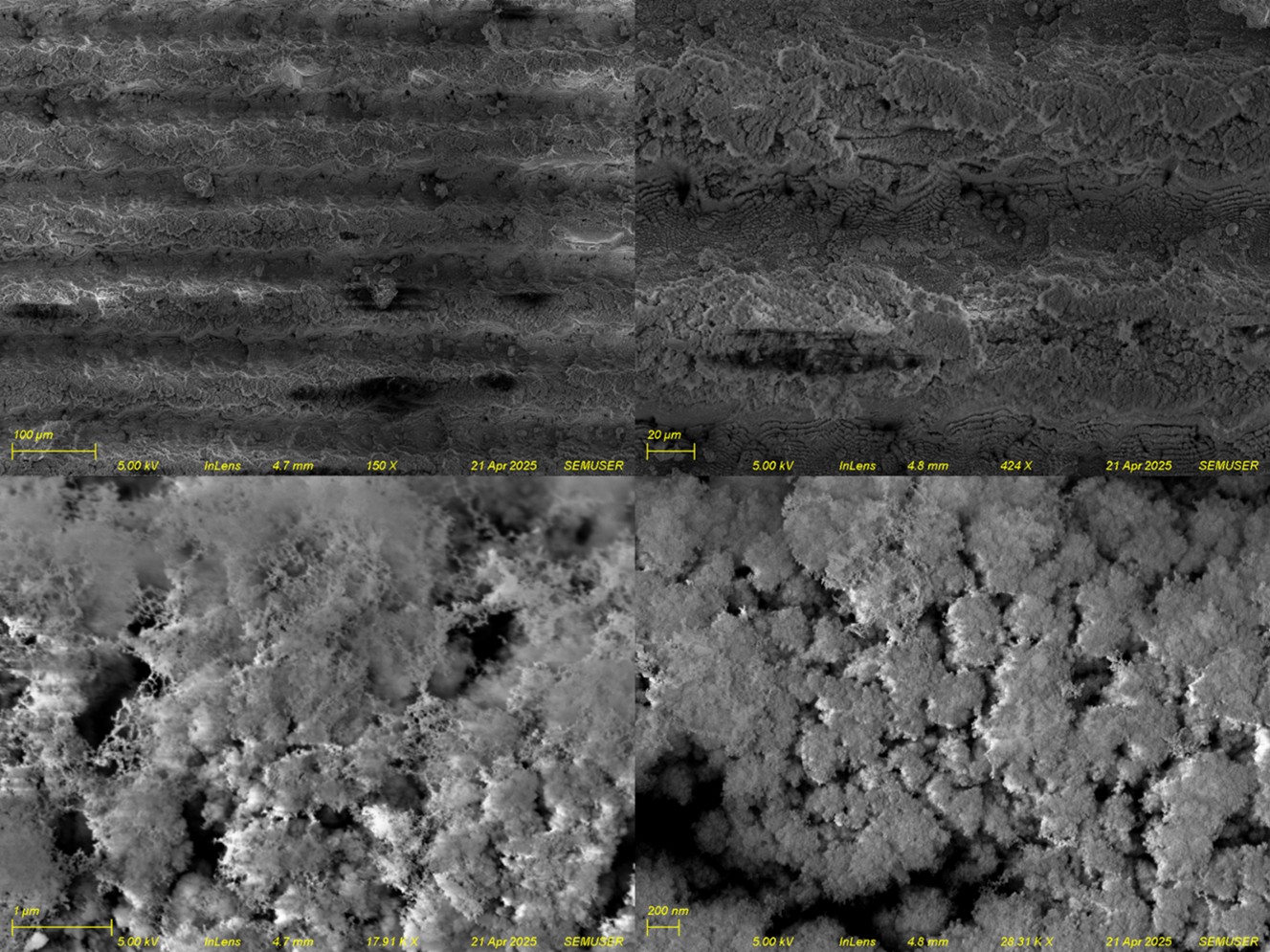 Laser treated silicon