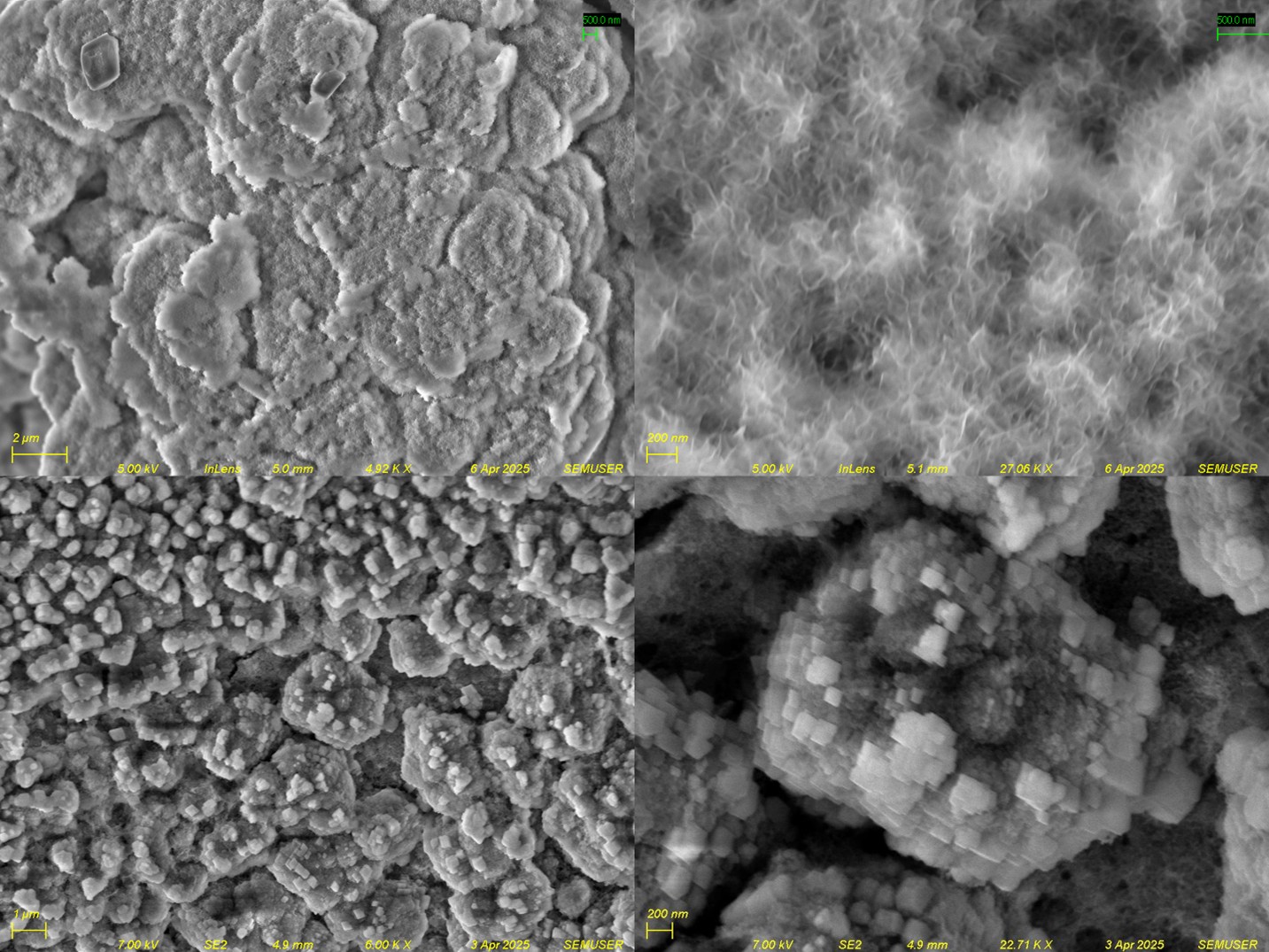 Nanostructures SEM