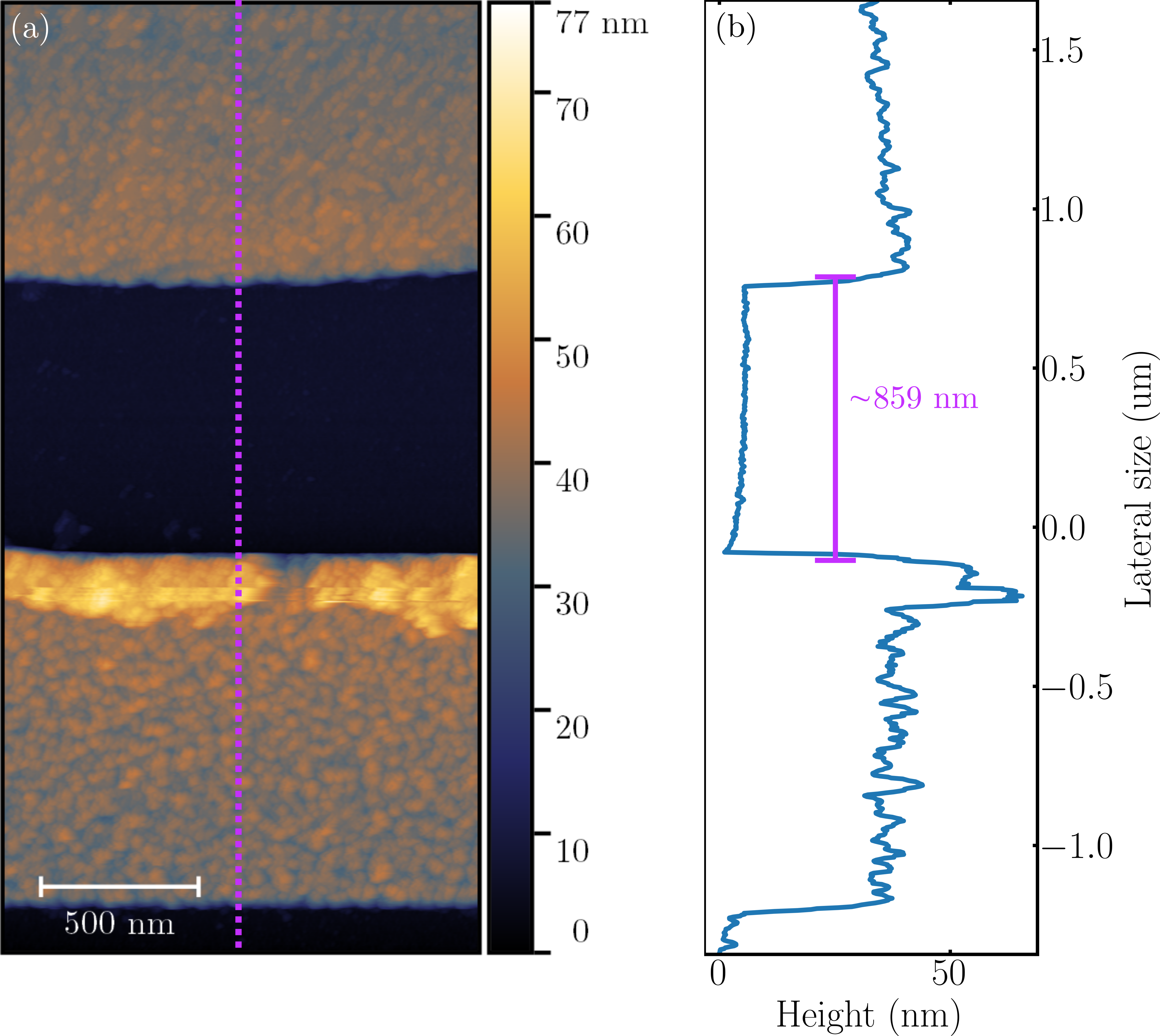 AFM 1000 nm