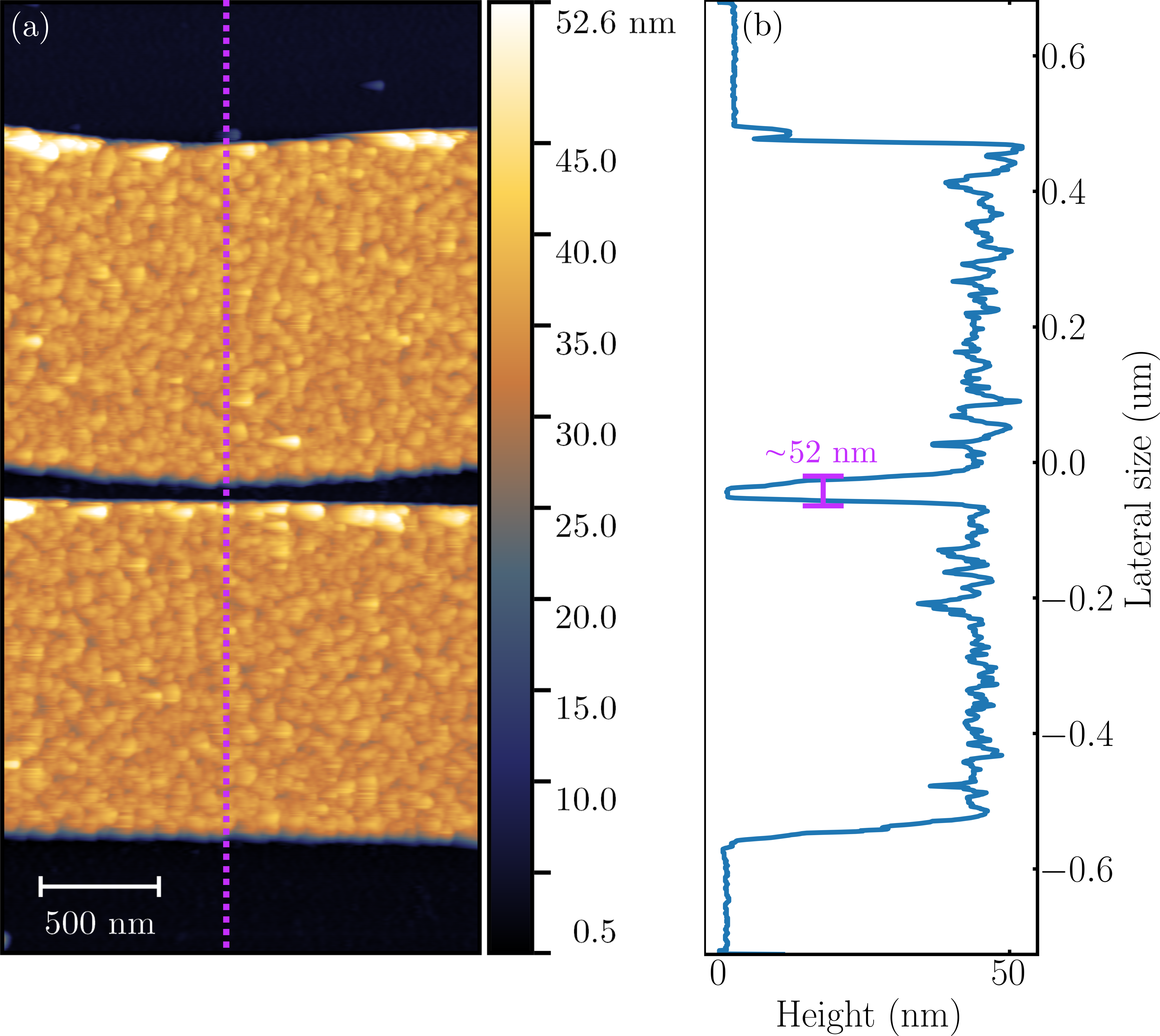 AFM 100 nm
