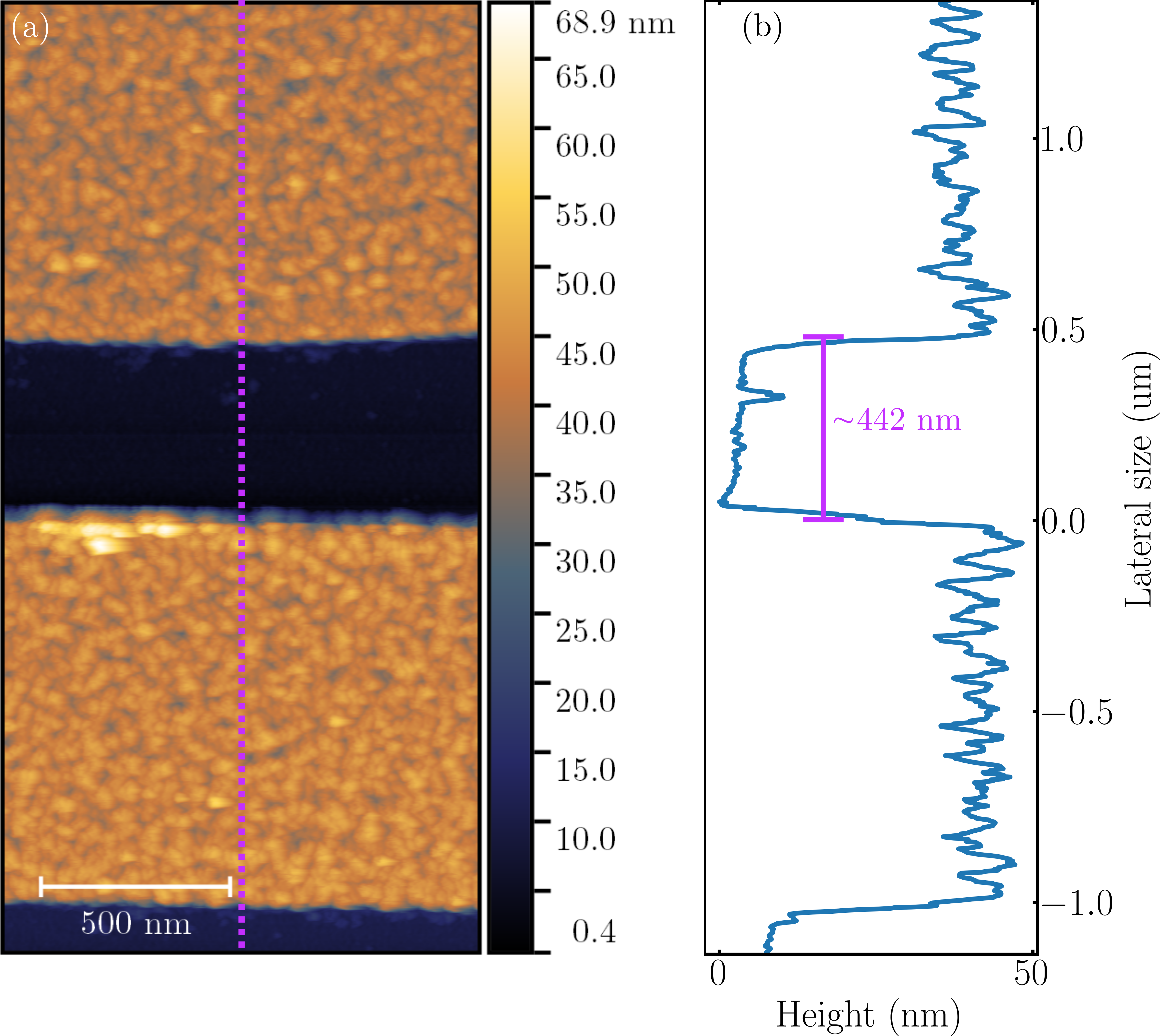AFM 500 nm