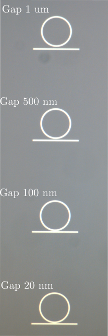Light microscopy image of ring resonator structures
