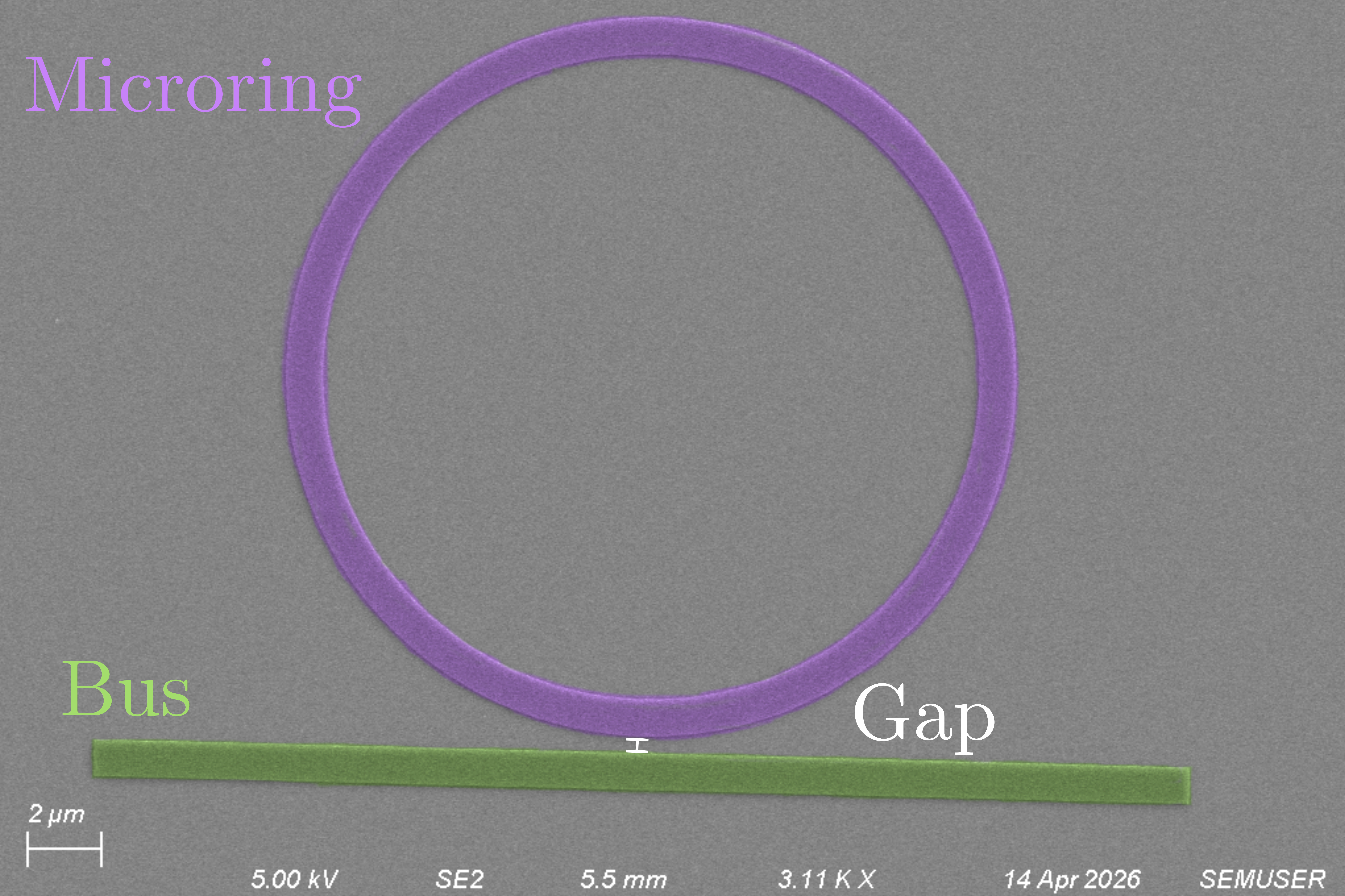 SEM overview of fabricated ring resonator structures