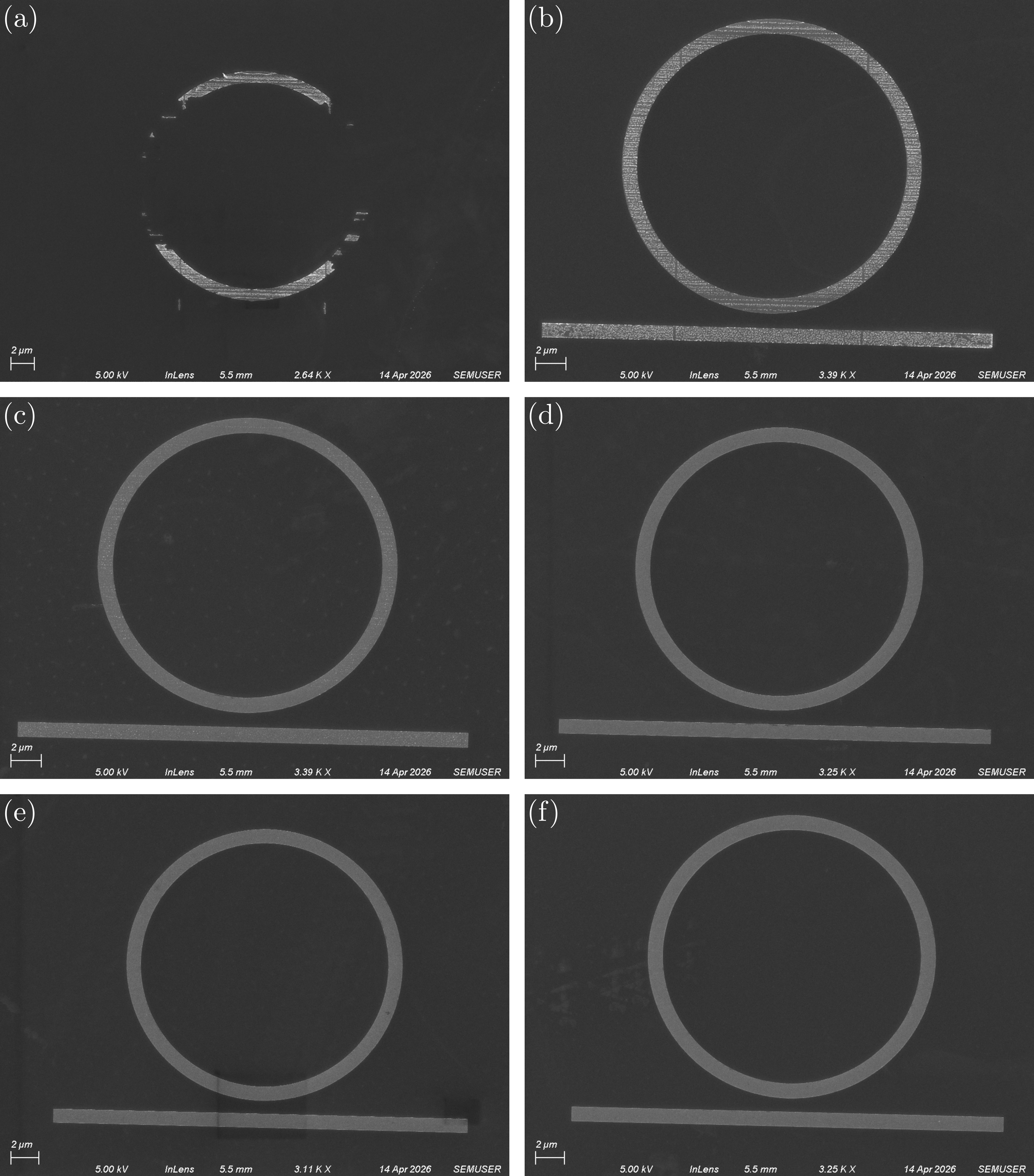 SEM overview of fabricated ring resonator structures