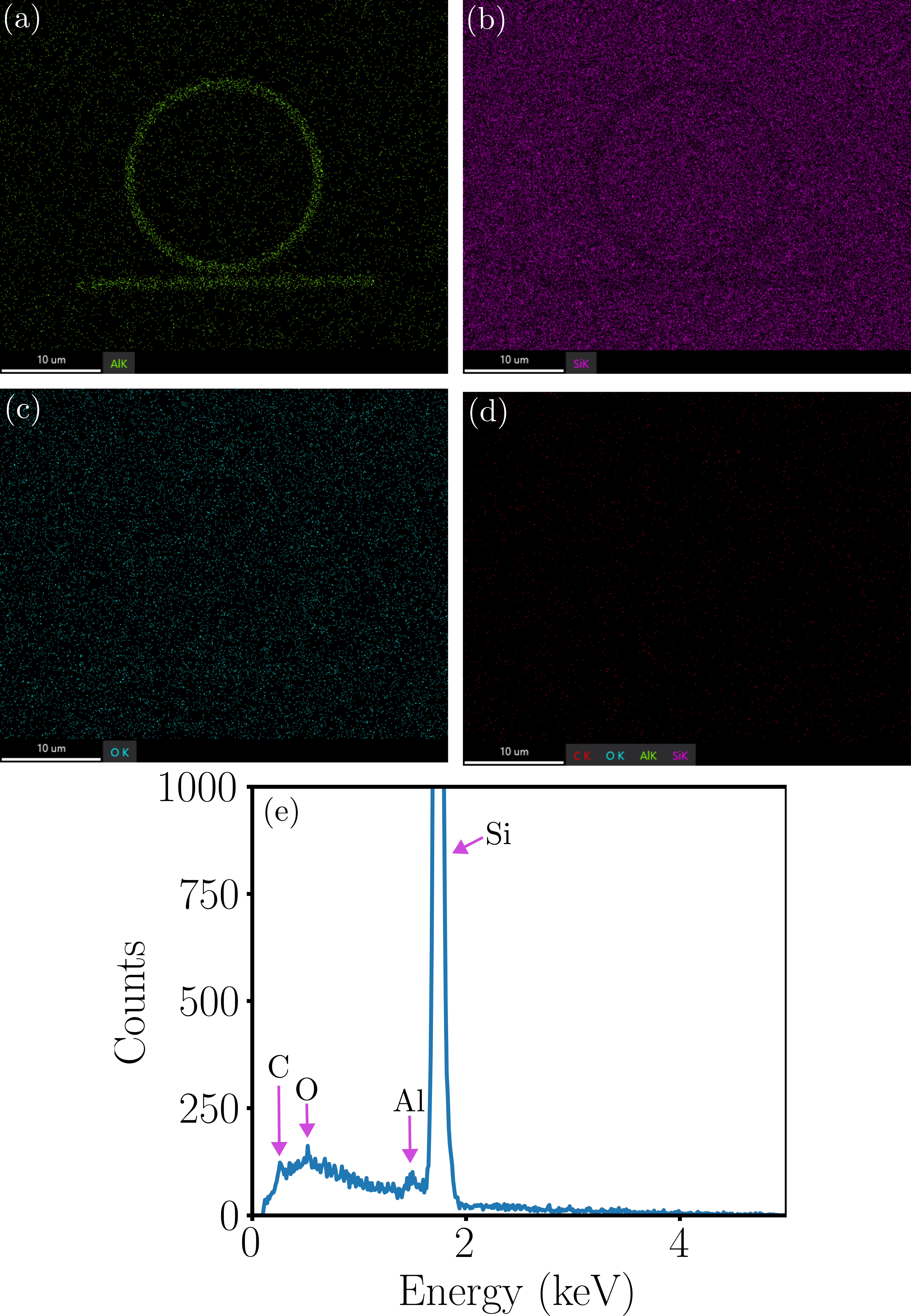 EDS spectrum