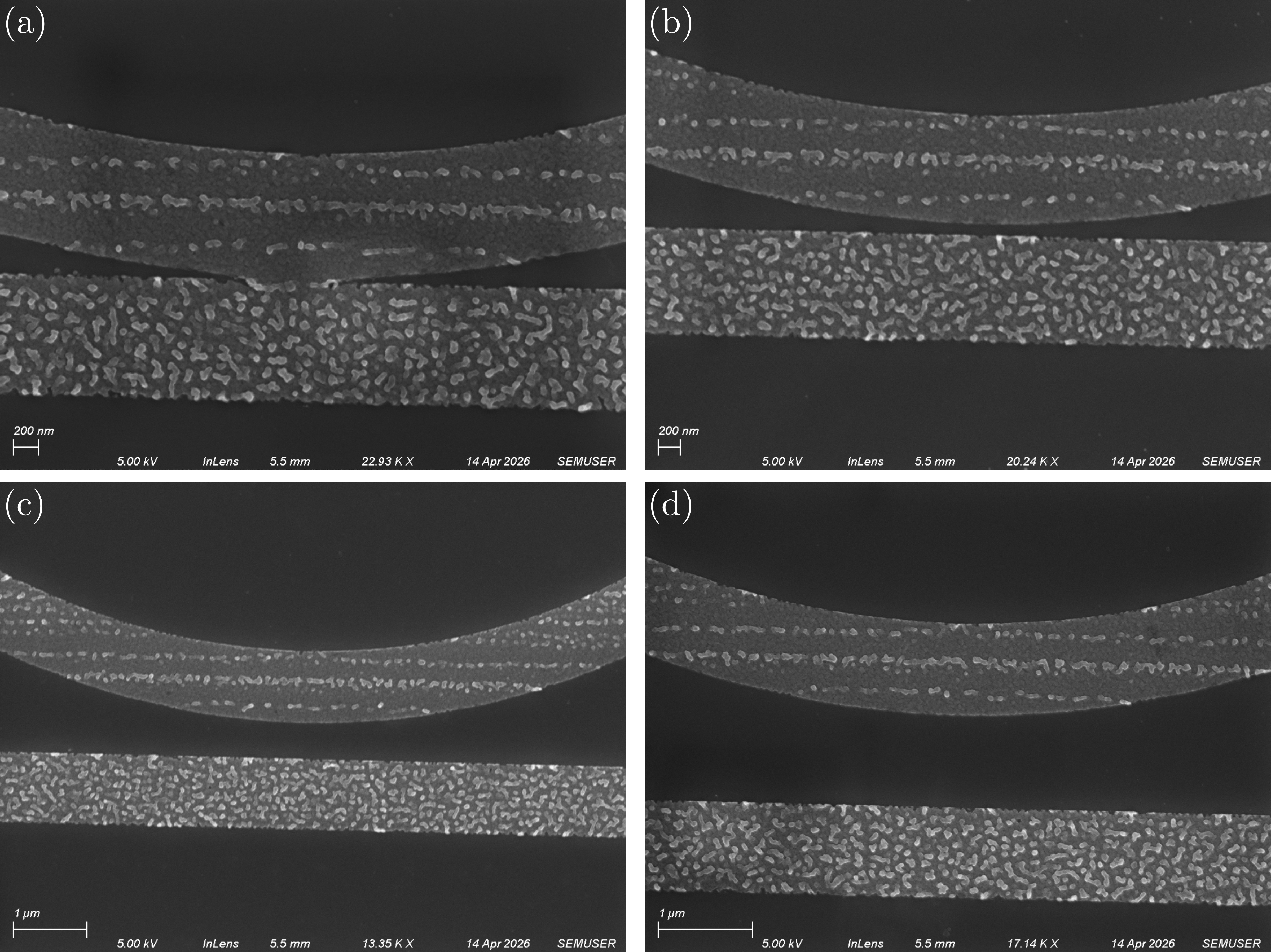 SEM close up 700uCcm2