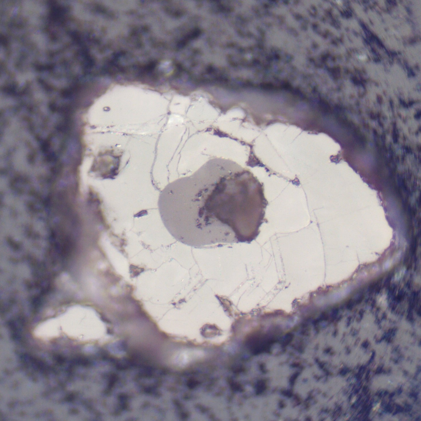Zircons 109 under reflected light (50x magnification).