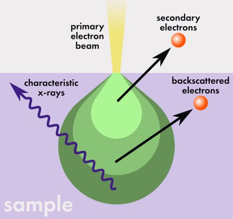 Sample interaction volume.