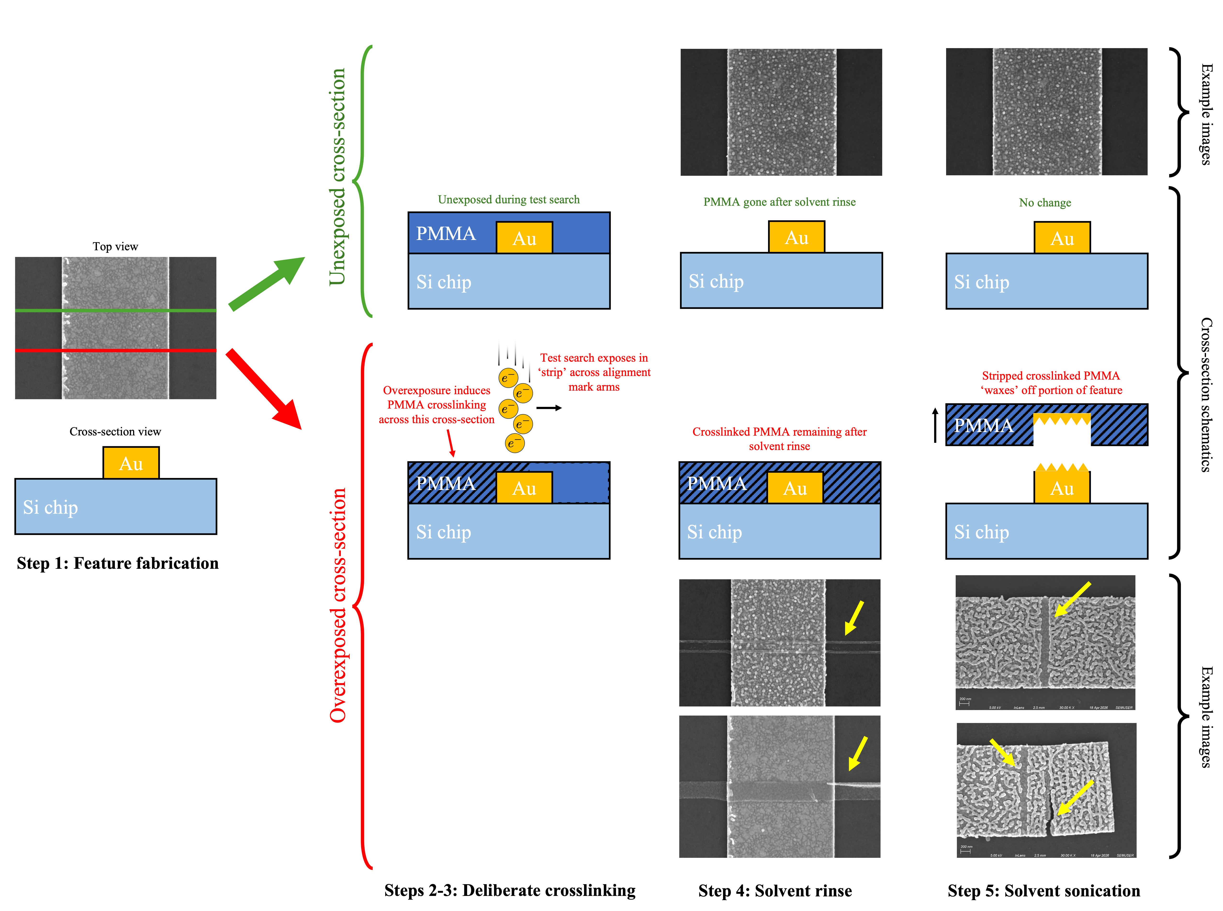 Diagram of the procedure, as described in the text.