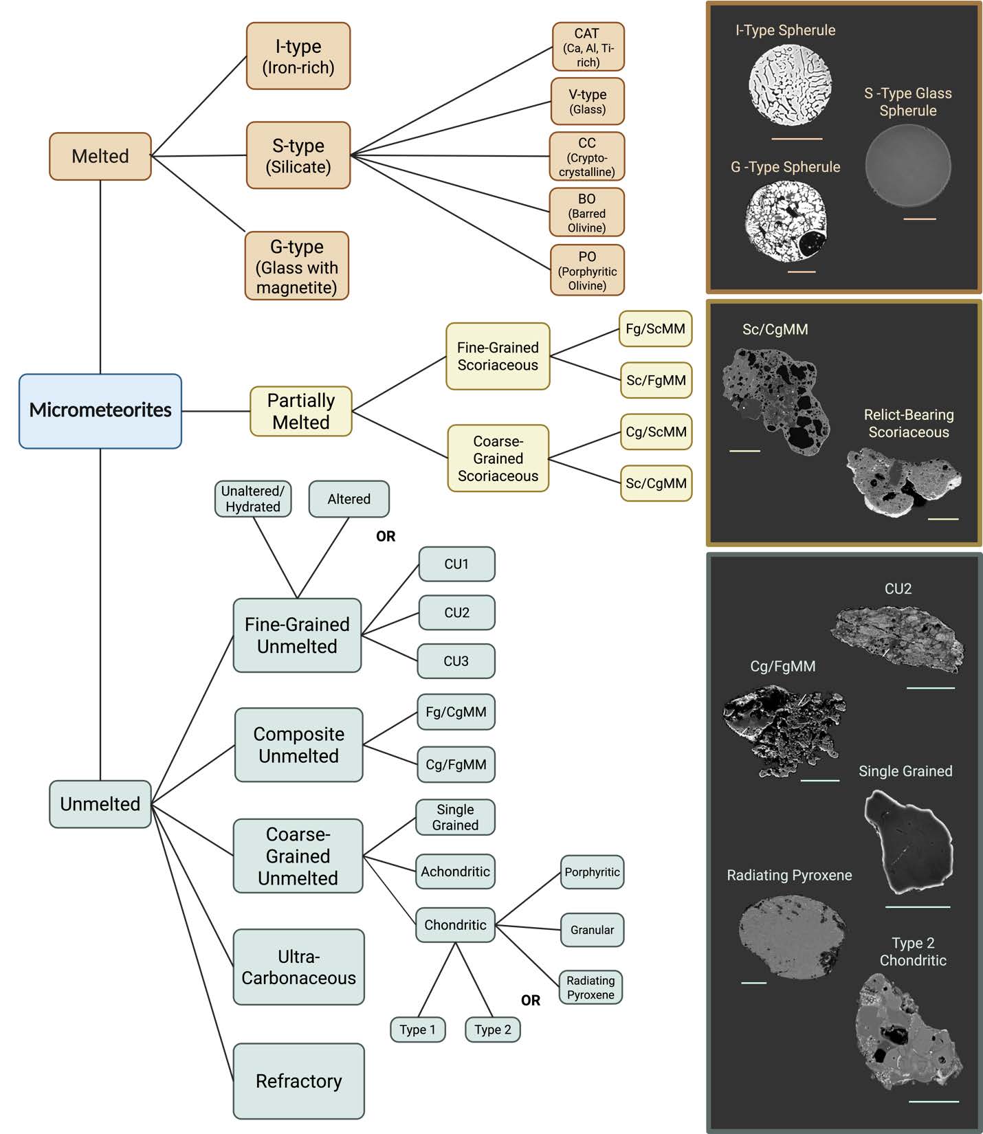flowchart showing the different classifications of micrometeorite