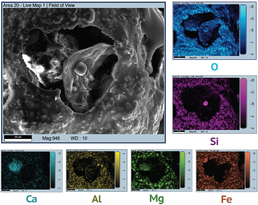 color maps showing the distribution of different elements in the sample