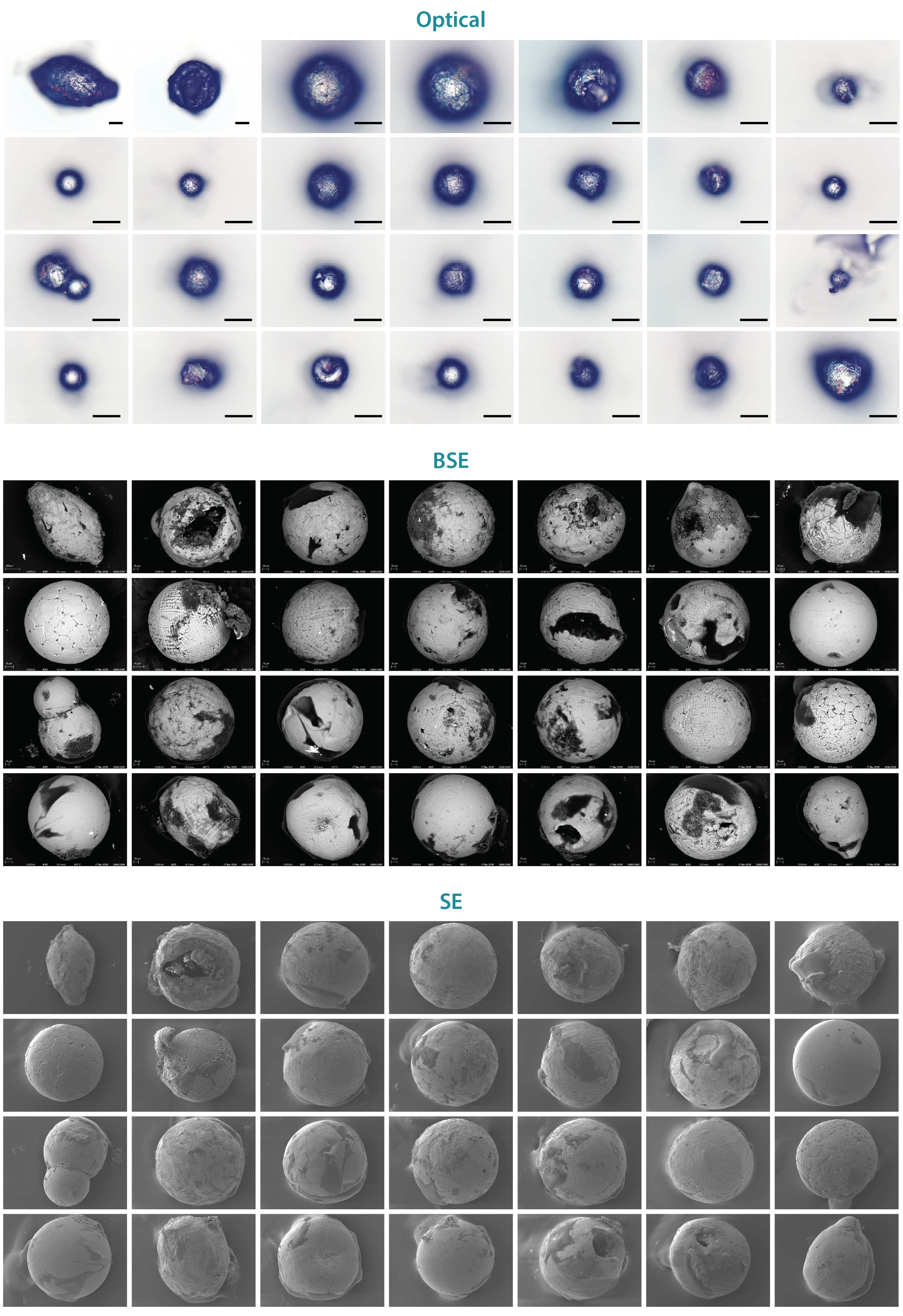 three grids of 28 spherules imaged with optical, backscattered electron, and secondary electron imaging