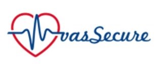 The vasSecure team logo