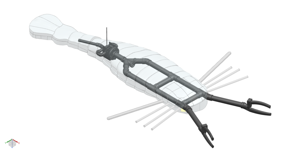 The internal framework of the Eurypterid model