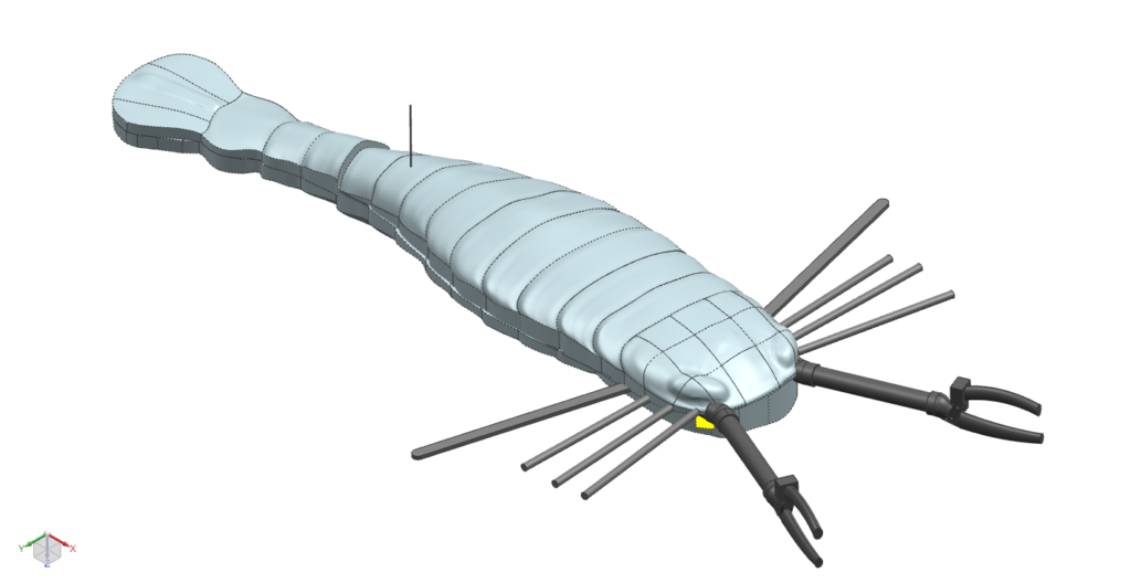The visual model of Eurypterid