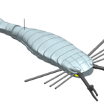 The visual model of Eurypterid