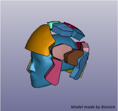 Figure 3: The hard foam components of the helmet, shown on the model head.