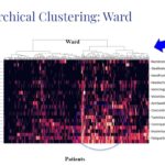 Ward Clustering on Dataset