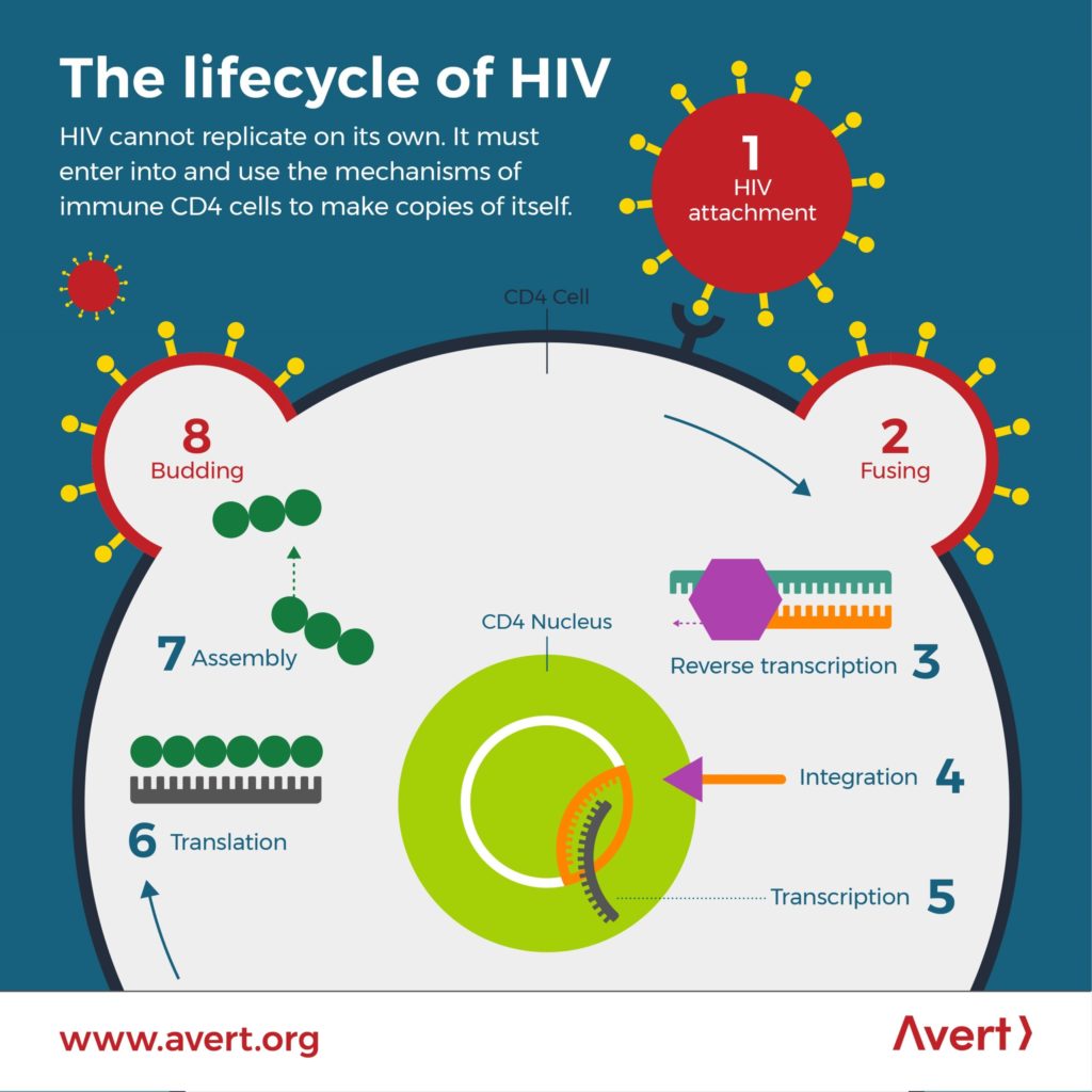 CostEffective HIV Viral Load Assay Senior Design Day
