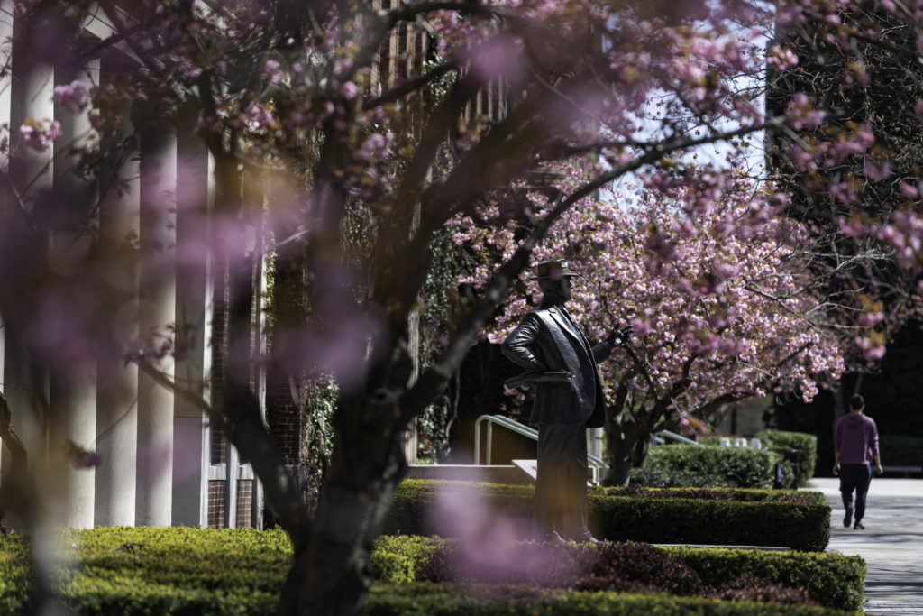 The George Eastman statue is seen through flowering trees on Eastman Quad