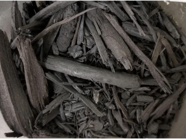 Adsorption of PFAS in Landfill Leachate Using Biochar University of